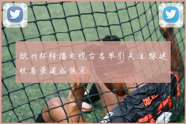 欧洲杯转播电视台名单引关注 球迷收看渠道成焦点
