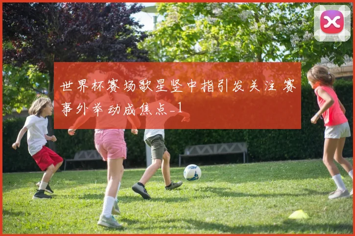 世界杯赛场歌星竖中指引发关注 赛事外举动成焦点_1
