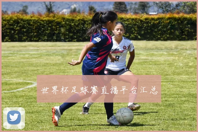 世界杯足球赛直播平台汇总