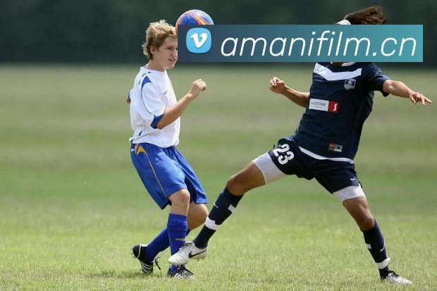 hth网站服务体系