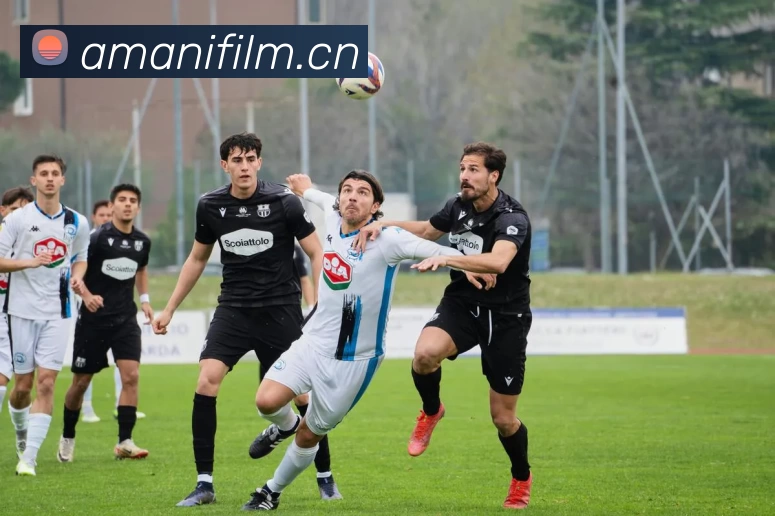 hth网站APP 体育赛事宣传图